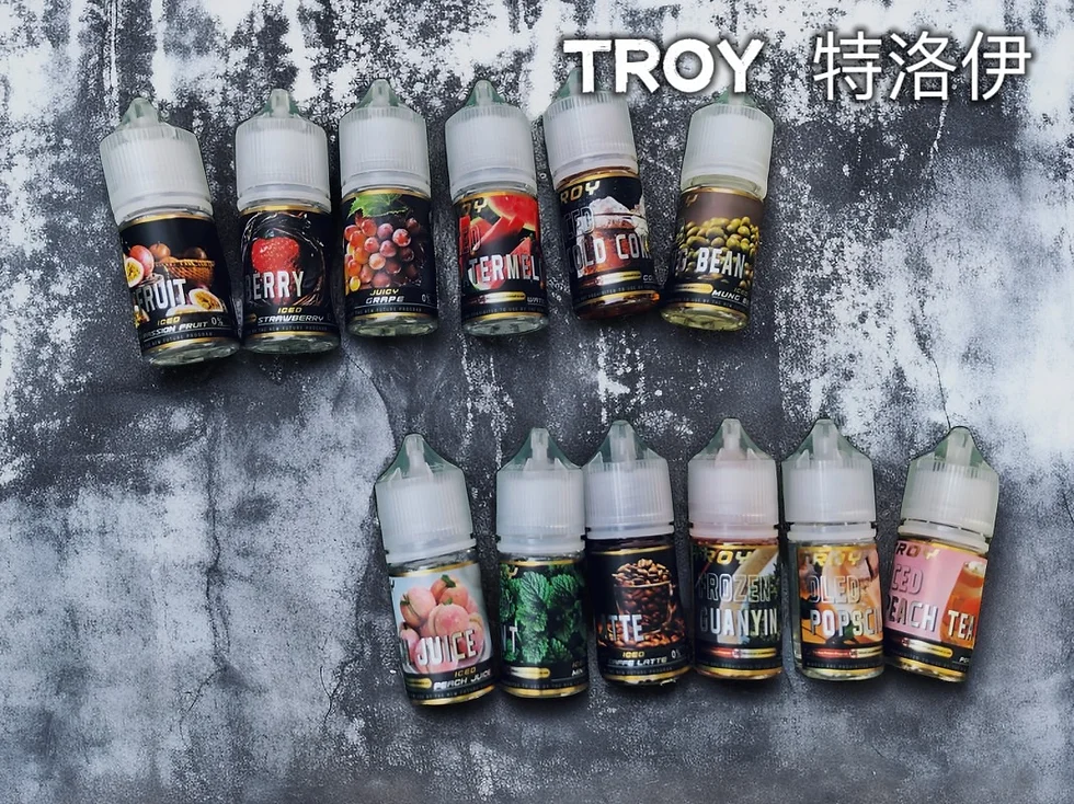 推薦 TROY特洛伊